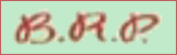 英国竞速合伙 | BRP