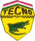 泰克诺 | Tecno